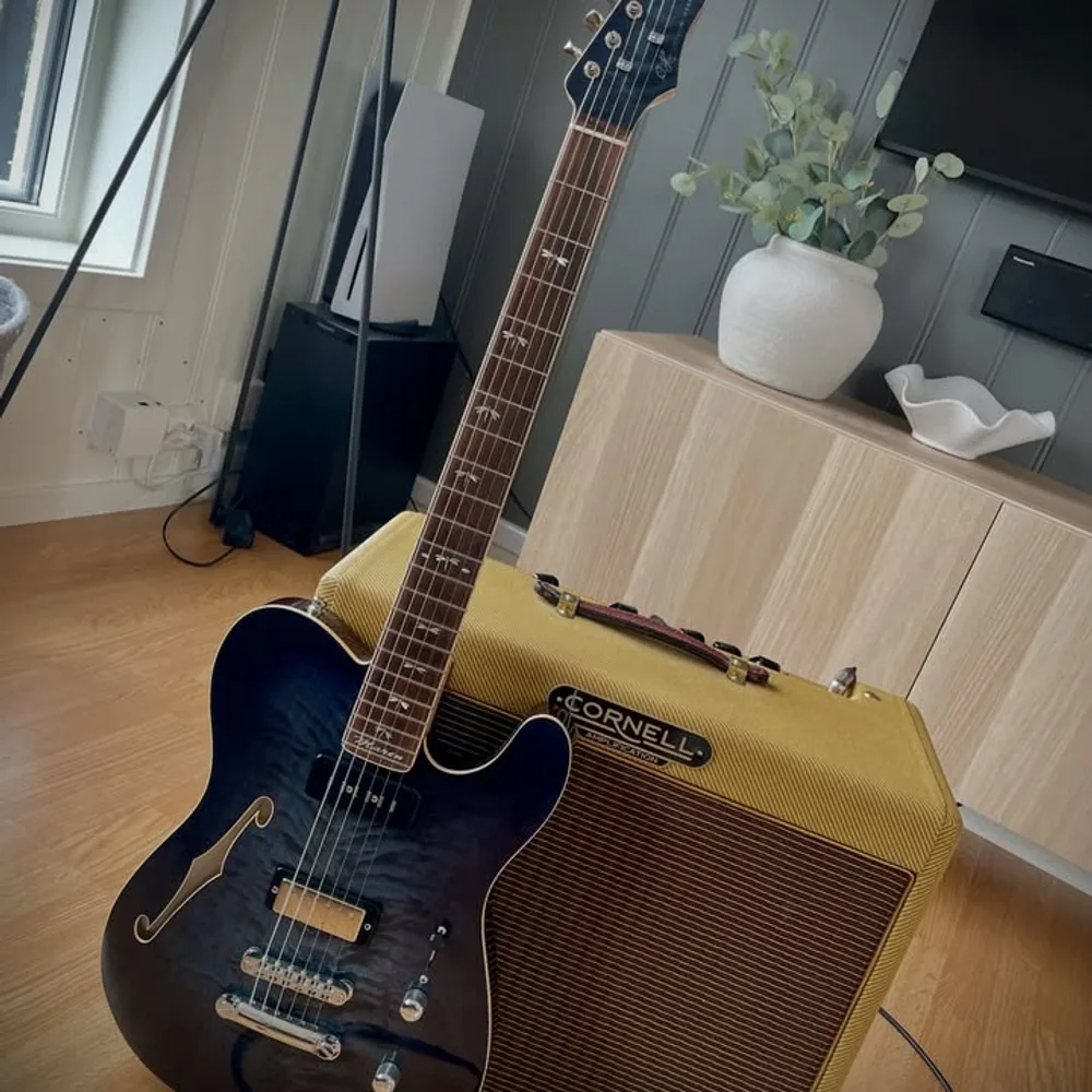 Kundegitar